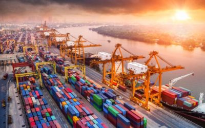 How DDP Shipping Cuts Costs for Pakistani Importers?