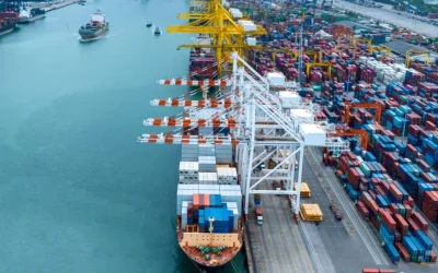 Sea Freight Cargo & Its Key Role in Pakistan’s Imports 